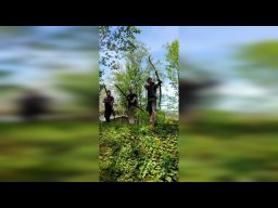 3x3 im Wald